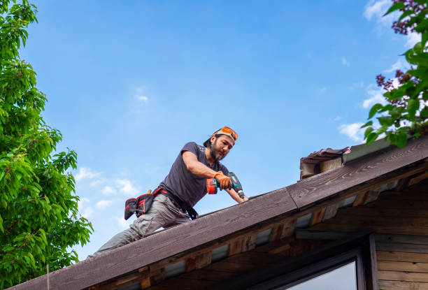 Best Roof Moss and Algae Removal  in Ntgomery City, MO